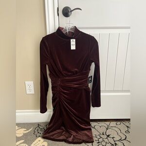 Express Burgundy Velvet Long Sleeve Dress